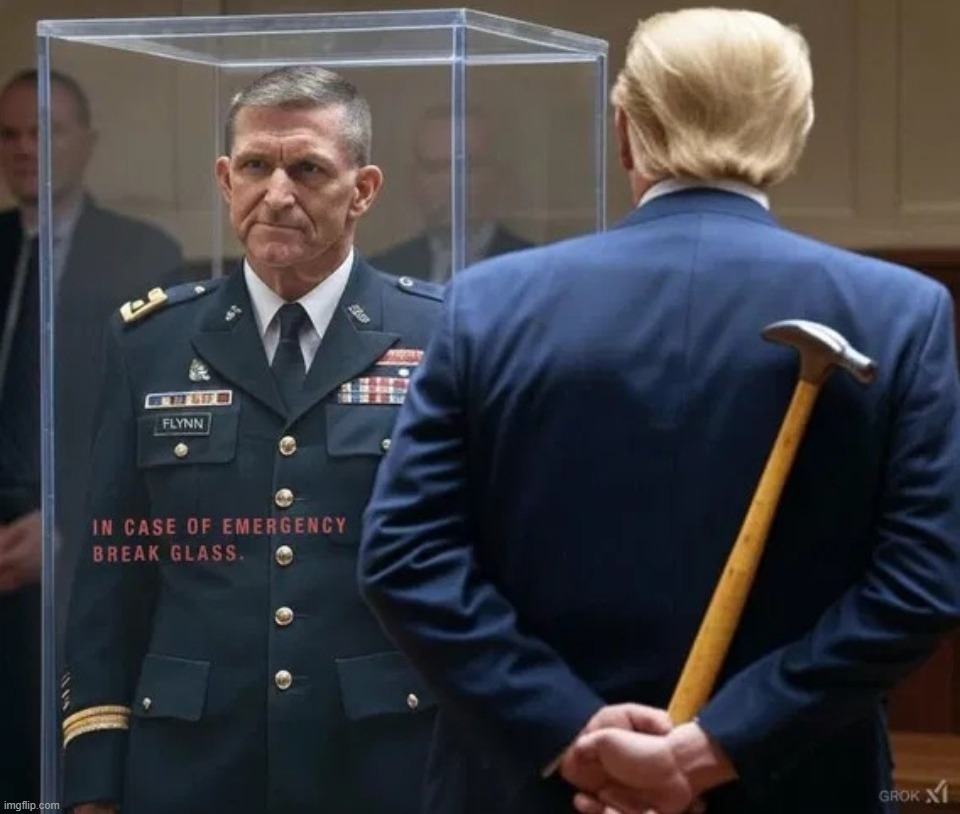 In Case of Emergency Break Glass | image tagged in emergency alert,general flynn,donald trump approves,relatable memes,types of headaches meme,fafo | made w/ Imgflip meme maker