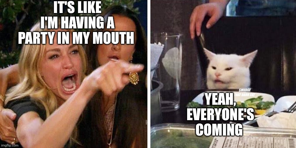 Smudge that darn cat with Karen | IT'S LIKE I'M HAVING A PARTY IN MY MOUTH; YEAH, EVERYONE'S COMING | image tagged in smudge that darn cat with karen | made w/ Imgflip meme maker