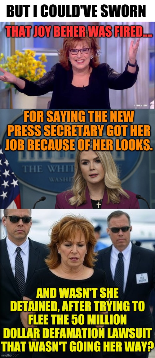 BUT I COULD'VE SWORN AND WASN'T SHE DETAINED, AFTER TRYING TO FLEE THE 50 MILLION DOLLAR DEFAMATION LAWSUIT THAT WASN'T GOING HER WAY? THAT  | image tagged in joy behar | made w/ Imgflip meme maker