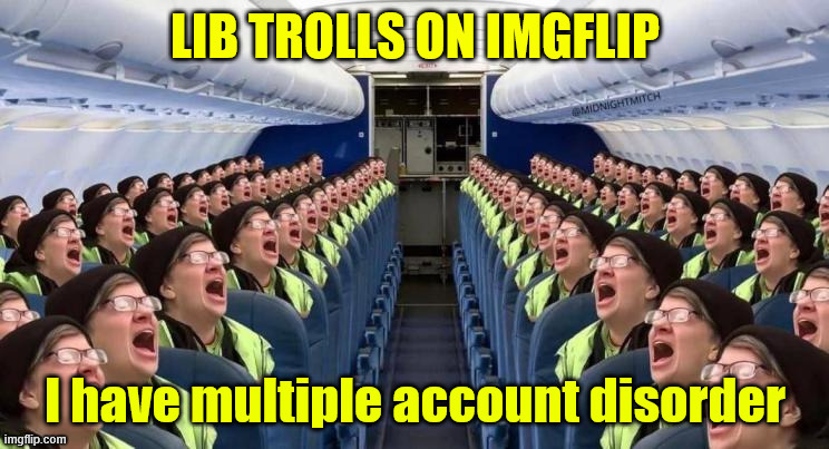 Lib trolls - MAD | image tagged in lib trolls,multiple account disorder | made w/ Imgflip meme maker