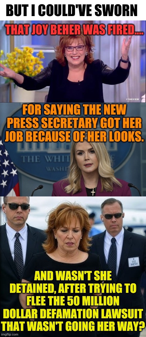 The Behind The Scenes Drama At The View | image tagged in memes,joy behar,fired,the view,defamation,lawsuit | made w/ Imgflip meme maker