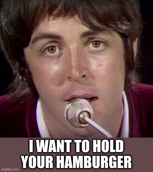 paul mccartney | I WANT TO HOLD YOUR HAMBURGER | image tagged in paul mccartney | made w/ Imgflip meme maker