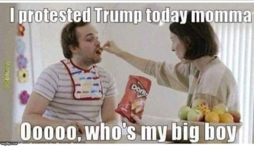 Triggered libs | image tagged in triggered libs,mamas big boy,protesting trump | made w/ Imgflip meme maker