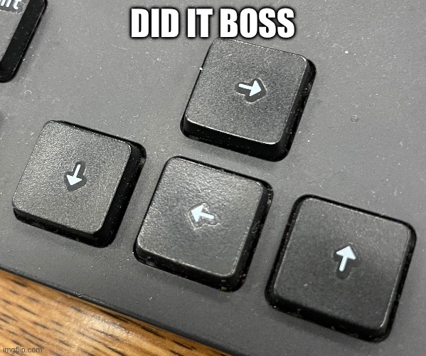 Arrow keys | DID IT BOSS | made w/ Imgflip meme maker