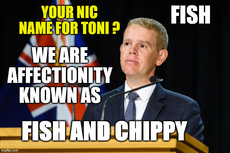 Chris Hipkins | FISH; YOUR NIC NAME FOR TONI ? WE ARE AFFECTIONITY KNOWN AS; FISH AND CHIPPY | image tagged in fish,chips,new zealand,labour party,nice guy,weak | made w/ Imgflip meme maker