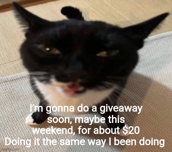 Comment if you want to join | I'm gonna do a giveaway soon, maybe this weekend, for about $20
Doing it the same way I been doing | image tagged in cat of anger | made w/ Imgflip meme maker