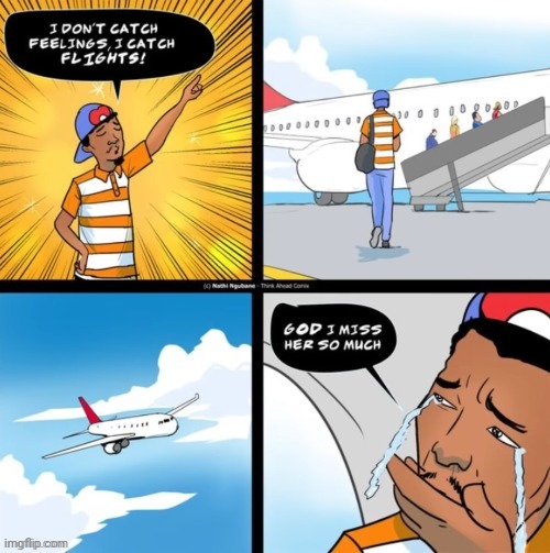 Feelings | image tagged in feelings,flight,flights,comics,comics/cartoons,plane | made w/ Imgflip meme maker