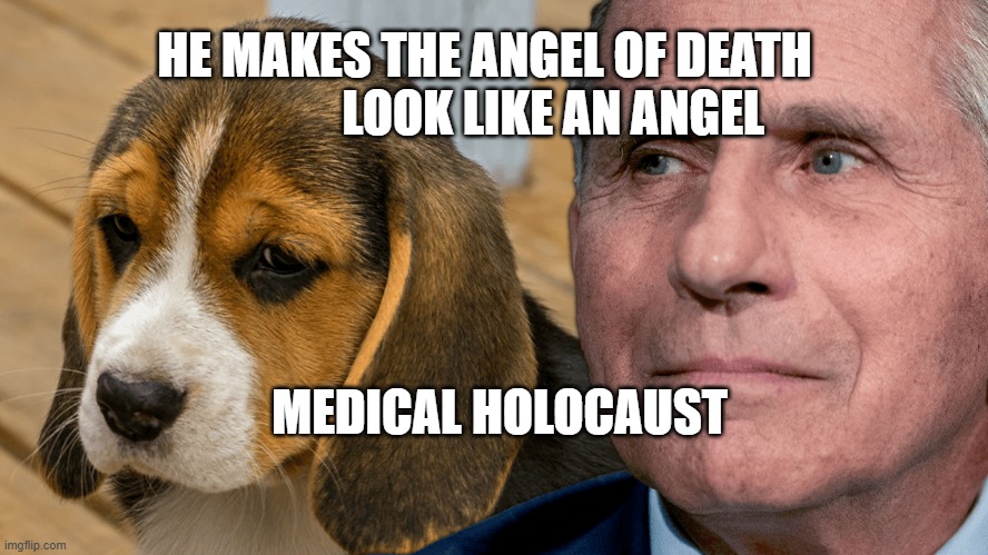 Fauci's Ouchie | HE MAKES THE ANGEL OF DEATH                LOOK LIKE AN ANGEL; MEDICAL HOLOCAUST | image tagged in fauci's ouchie | made w/ Imgflip meme maker