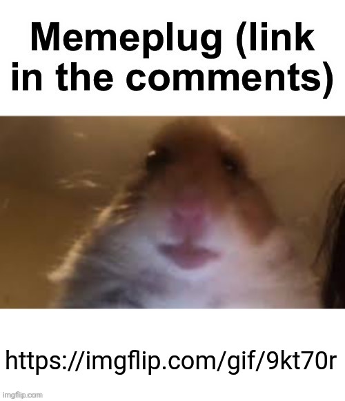 Memeplug | https://imgflip.com/gif/9kt70r | image tagged in memeplug | made w/ Imgflip meme maker