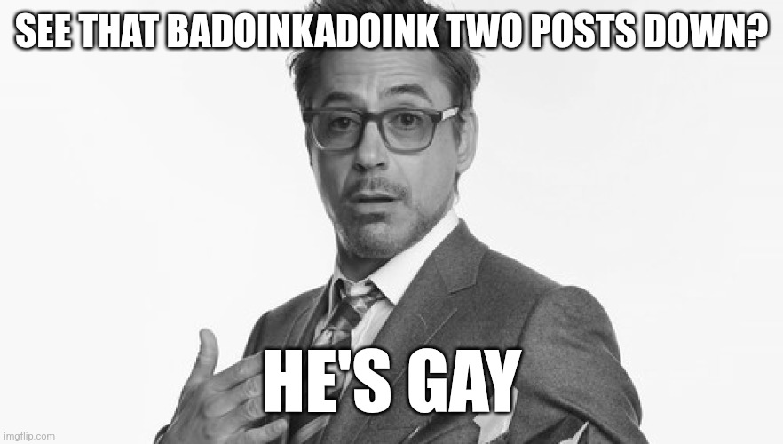 Robert Downey Jr's Comments | SEE THAT BADOINKADOINK TWO POSTS DOWN? HE'S GAY | image tagged in robert downey jr's comments | made w/ Imgflip meme maker