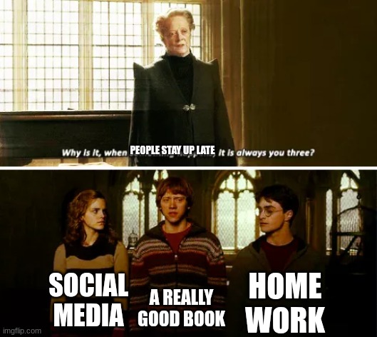 Always you three | PEOPLE STAY UP LATE; HOME WORK; SOCIAL MEDIA; A REALLY GOOD BOOK | image tagged in always you three | made w/ Imgflip meme maker