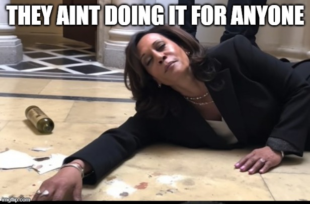 drunk kamala | THEY AINT DOING IT FOR ANYONE | image tagged in drunk kamala | made w/ Imgflip meme maker