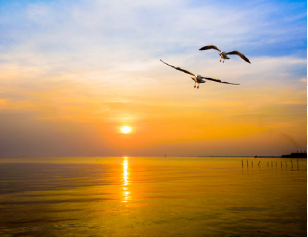 Beach sunset Blank Meme Template