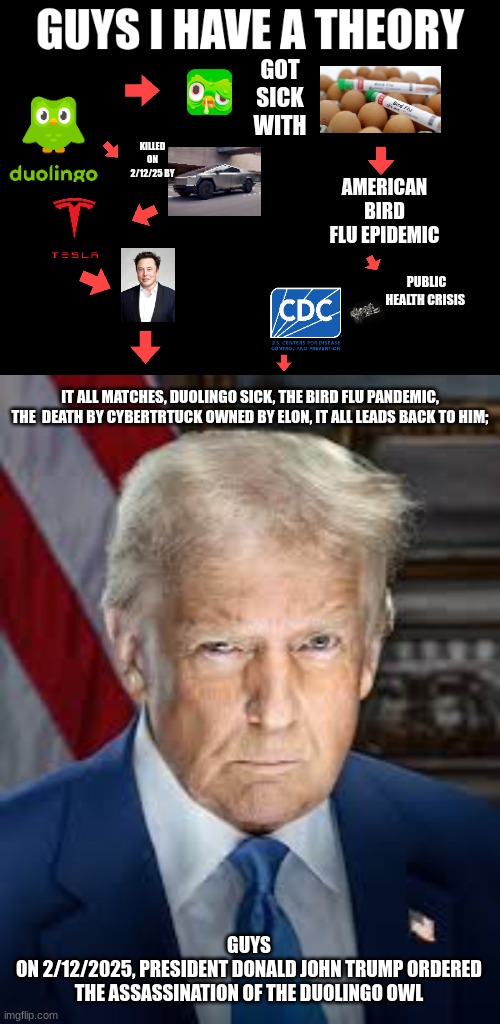 Every Shred points to him. (This is satire, I don't dislike the President, please take this as a joke). | GOT SICK WITH; KILLED ON 2/12/25 BY; AMERICAN BIRD FLU EPIDEMIC; PUBLIC HEALTH CRISIS; IT ALL MATCHES, DUOLINGO SICK, THE BIRD FLU PANDEMIC, THE  DEATH BY CYBERTRTUCK OWNED BY ELON, IT ALL LEADS BACK TO HIM;; GUYS
ON 2/12/2025, PRESIDENT DONALD JOHN TRUMP ORDERED THE ASSASSINATION OF THE DUOLINGO OWL | image tagged in guys i have a theory,duolingo,duolingo bird | made w/ Imgflip meme maker