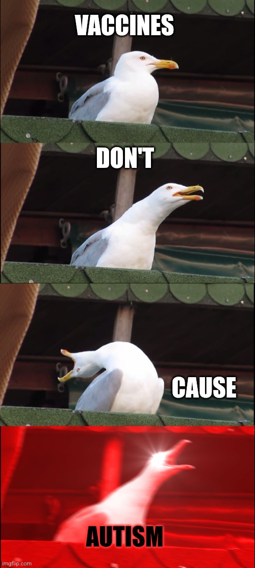 Inhaling Seagull Meme | VACCINES DON'T CAUSE AUTISM | image tagged in memes,inhaling seagull | made w/ Imgflip meme maker