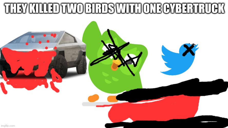 Doulingo | THEY KILLED TWO BIRDS WITH ONE CYBERTRUCK | image tagged in doulingo | made w/ Imgflip meme maker