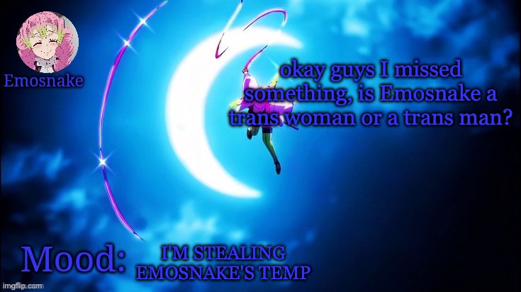 Sorry | okay guys I missed something, is Emosnake a trans woman or a trans man? I'M STEALING EMOSNAKE'S TEMP | image tagged in emosnake's mitsuri template | made w/ Imgflip meme maker