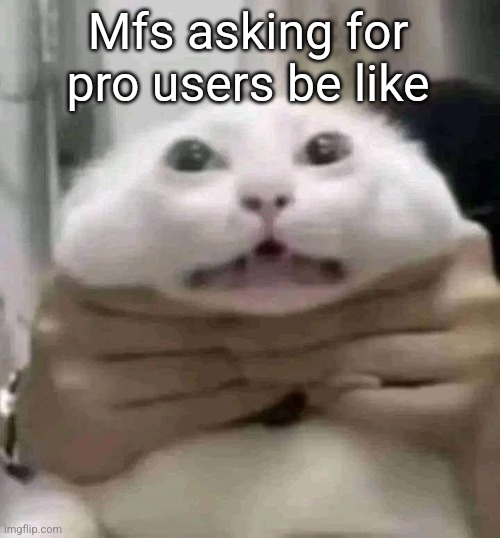 car | Mfs asking for pro users be like | image tagged in car | made w/ Imgflip meme maker