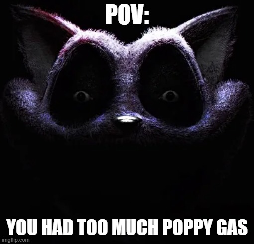 poppy gas | POV:; YOU HAD TOO MUCH POPPY GAS | made w/ Imgflip meme maker