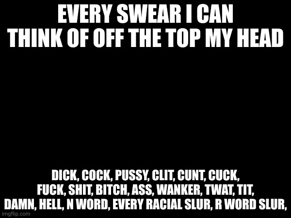 don't ask why i made this. | EVERY SWEAR I CAN THINK OF OFF THE TOP MY HEAD; DICK, COCK, PUSSY, CLIT, CUNT, CUCK, FUCK, SHIT, BITCH, ASS, WANKER, TWAT, TIT, DAMN, HELL, N WORD, EVERY RACIAL SLUR, R WORD SLUR, | made w/ Imgflip meme maker