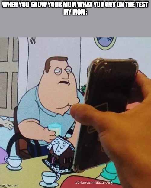 Joe swanson looking at phone | WHEN YOU SHOW YOUR MOM WHAT YOU GOT ON THE TEST
MY MOM: | image tagged in joe swanson looking at phone | made w/ Imgflip meme maker