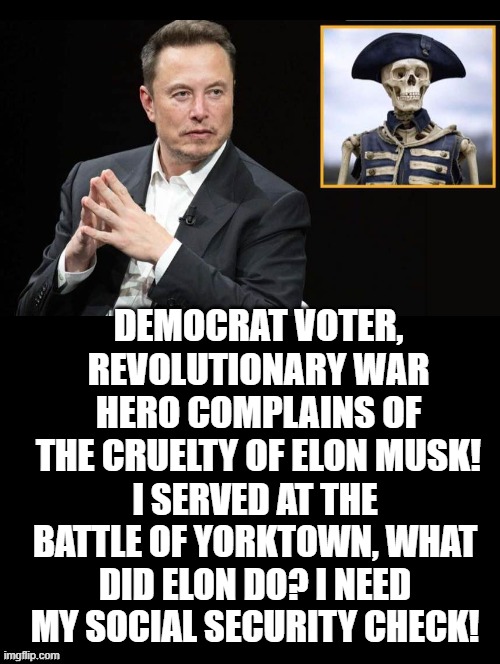 What did Elon do? | DEMOCRAT VOTER, REVOLUTIONARY WAR HERO COMPLAINS OF THE CRUELTY OF ELON MUSK! I SERVED AT THE BATTLE OF YORKTOWN, WHAT DID ELON DO? I NEED MY SOCIAL SECURITY CHECK! | image tagged in veteran | made w/ Imgflip meme maker