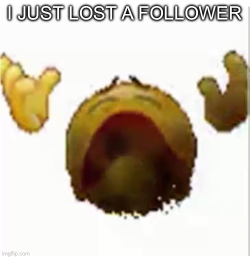 I JUST LOST A FOLLOWER | made w/ Imgflip meme maker