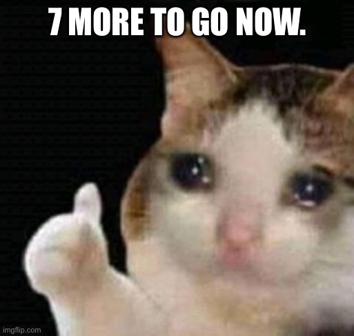 sad thumbs up cat | 7 MORE TO GO NOW. | image tagged in sad thumbs up cat | made w/ Imgflip meme maker