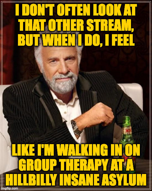 ...while conjugal visits are going on in the same room. | I DON'T OFTEN LOOK AT
THAT OTHER STREAM,
BUT WHEN I DO, I FEEL; LIKE I'M WALKING IN ON
GROUP THERAPY AT A
HILLBILLY INSANE ASYLUM | image tagged in memes,the most interesting man in the world | made w/ Imgflip meme maker