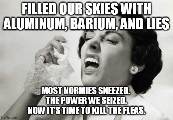 Allergic to death, taking a breath. | FILLED OUR SKIES WITH ALUMINUM, BARIUM, AND LIES; MOST NORMIES SNEEZED. 
THE POWER WE SEIZED.
NOW IT'S TIME TO KILL THE FLEAS. | image tagged in sneezing,bullshit,allergies,globalism | made w/ Imgflip meme maker