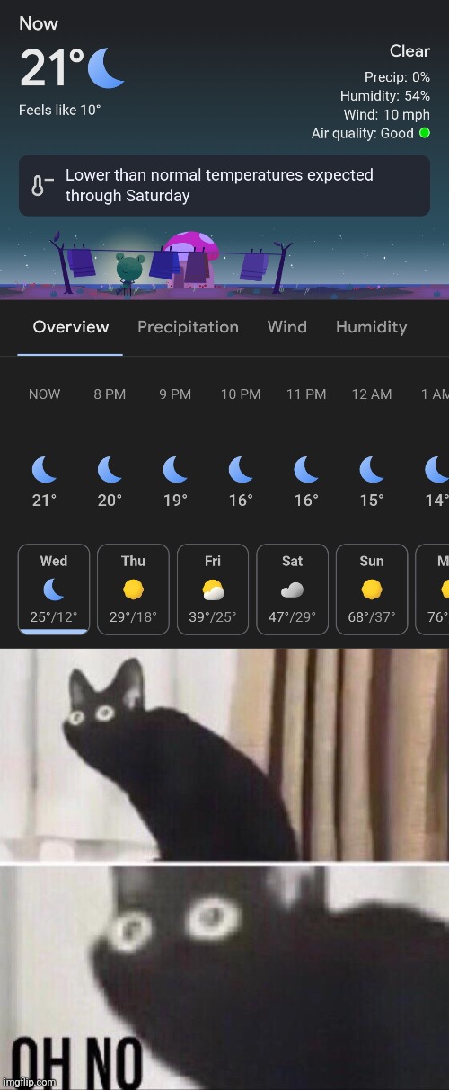 Lord have mercy | image tagged in oh no cat | made w/ Imgflip meme maker