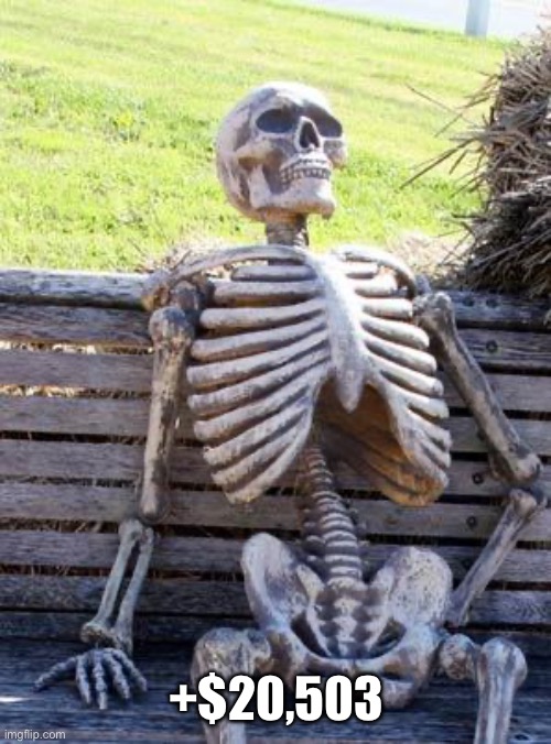 +$20,503 | image tagged in memes,waiting skeleton | made w/ Imgflip meme maker