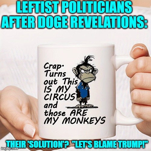 They honestly think citizens aren't going to notice? | LEFTIST POLITICIANS AFTER DOGE REVELATIONS:; THEIR 'SOLUTION'?  "LET'S BLAME TRUMP!" | image tagged in yep | made w/ Imgflip meme maker