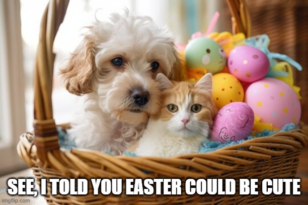 memes by Brad - Here's proof that Easter can be cute - cat & dog - | SEE, I TOLD YOU EASTER COULD BE CUTE | image tagged in cats,cute kittens,dog,puppy,easter,funny | made w/ Imgflip meme maker