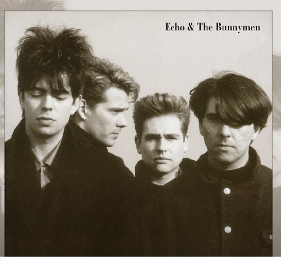 High Quality Echo & The Bunnymen Blank Meme Template