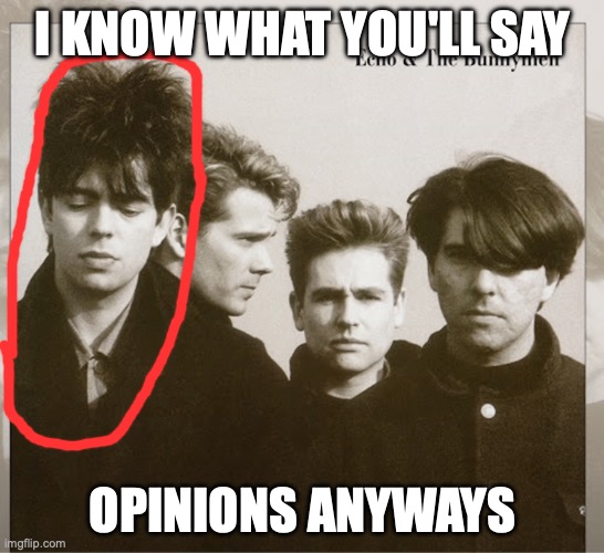 *sighs, knowing what will happen* | I KNOW WHAT YOU'LL SAY; OPINIONS ANYWAYS | image tagged in echo the bunnymen | made w/ Imgflip meme maker