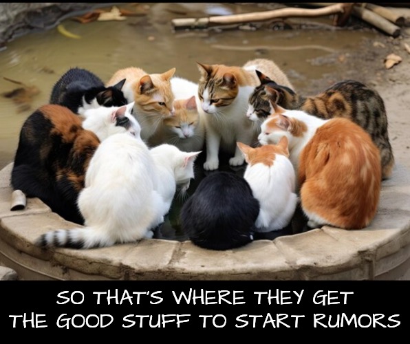 SO THAT'S WHERE THEY GET THE GOOD STUFF TO START RUMORS | made w/ Imgflip meme maker