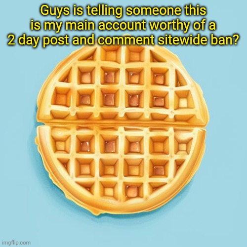 Waffle | Guys is telling someone this is my main account worthy of a 2 day post and comment sitewide ban? | image tagged in waffle | made w/ Imgflip meme maker