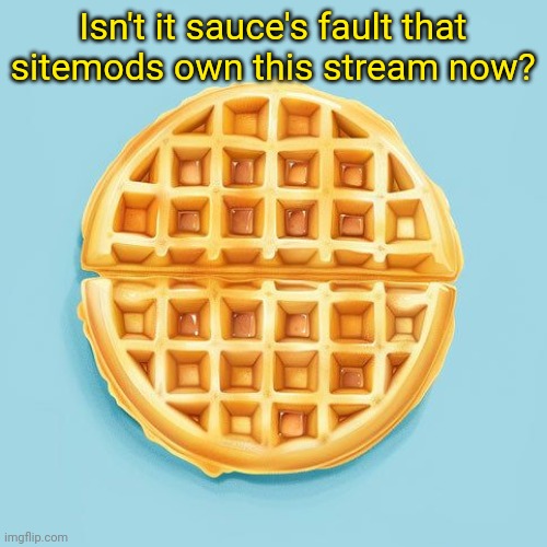 Waffle | Isn't it sauce's fault that sitemods own this stream now? | image tagged in waffle | made w/ Imgflip meme maker