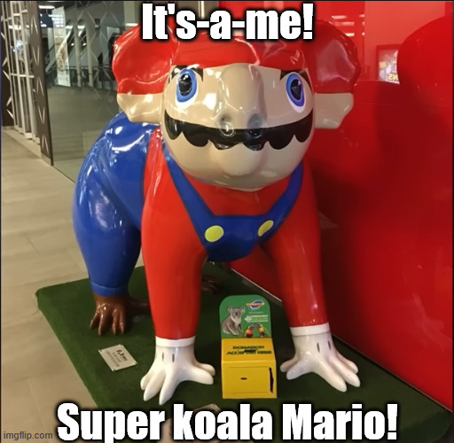 i have no words | It's-a-me! Super koala Mario! | image tagged in super mario | made w/ Imgflip meme maker