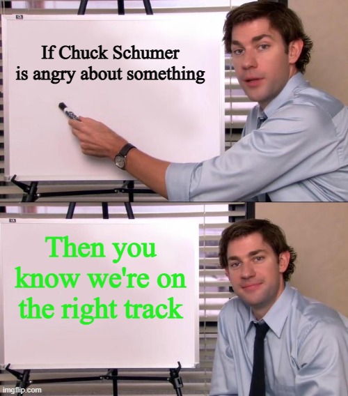 Jim Halpert Explains | If Chuck Schumer is angry about something; Then you know we're on the right track | image tagged in jim halpert explains,memes,chuck schumer,congress,democrat | made w/ Imgflip meme maker