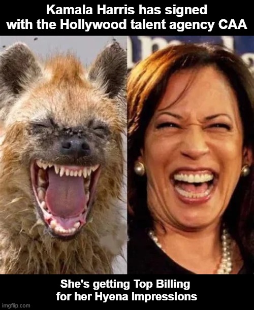 Kamala Signs with Talent Agency | Kamala Harris has signed with the Hollywood talent agency CAA; She's getting Top Billing 
for her Hyena Impressions | image tagged in kamala harris | made w/ Imgflip meme maker