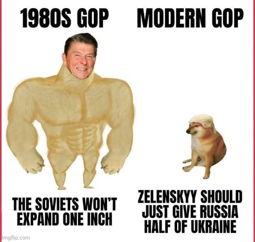 I was wrong. Trump ain't no Dictator. He's a simp. Next he'll give up Taiwan. Bcoz China good.PS: I hate Zelensky and Putin. | image tagged in russia,ukraine,donald trump,trump,republicans,elon musk | made w/ Imgflip meme maker
