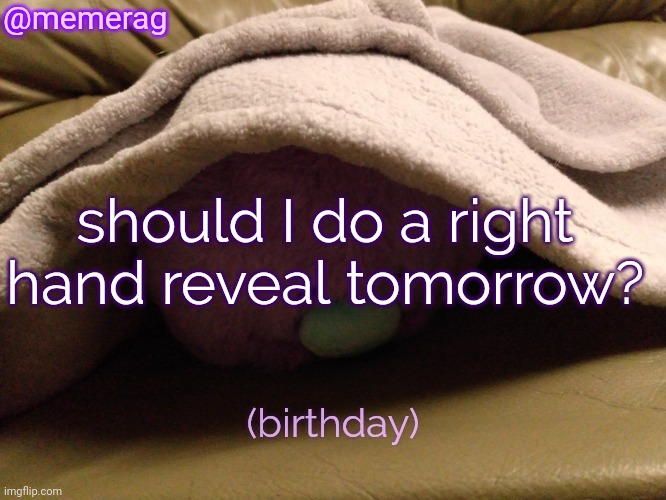 it'll just be the back | @memerag; should I do a right hand reveal tomorrow? (birthday) | image tagged in memerag moley b announcement template | made w/ Imgflip meme maker