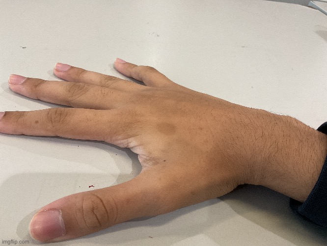 Stupid ass hand reveal | made w/ Imgflip meme maker