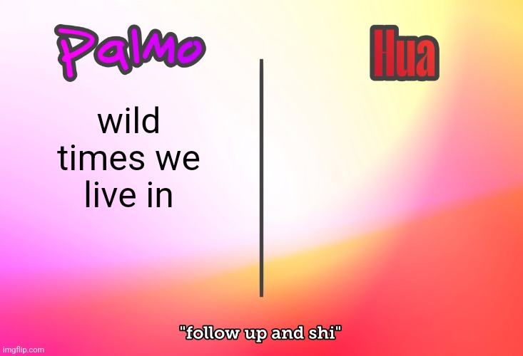 palmo x hua | wild times we live in | image tagged in palmo x hua | made w/ Imgflip meme maker