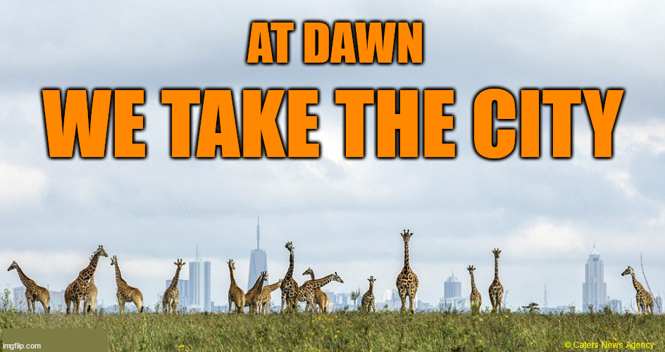 AT DAWN WE TAKE THE CITY DJ Anomalous ███████ © Caters News Agency | made w/ Imgflip meme maker