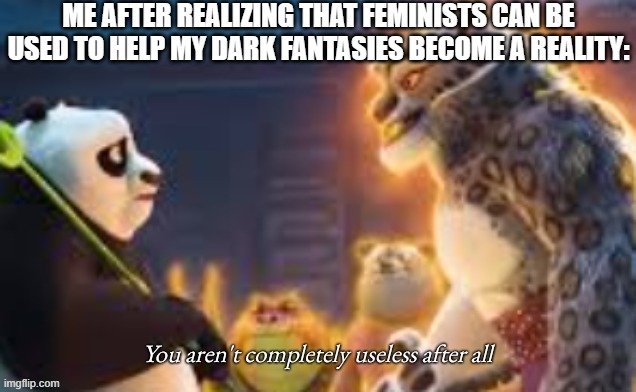 oof | ME AFTER REALIZING THAT FEMINISTS CAN BE USED TO HELP MY DARK FANTASIES BECOME A REALITY: | image tagged in you aren't completely useless after all,feminist,kung fu panda,lol so funny,dark humor,lol | made w/ Imgflip meme maker