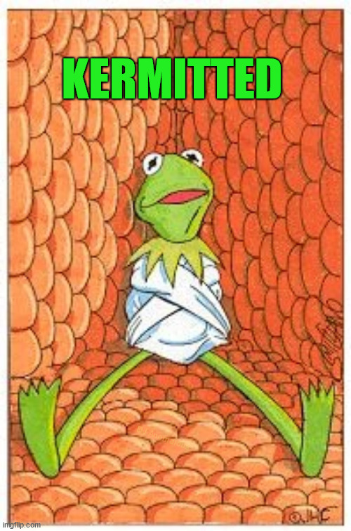 Brain frog | KERMITTED; DJ Anomalous | image tagged in kermit the frog,brain,fog,pun,bad pun,eyeroll | made w/ Imgflip meme maker