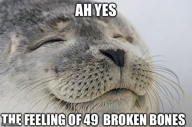 Satisfied Seal Meme | AH YES THE FEELING OF 49  BROKEN BONES | image tagged in memes,satisfied seal | made w/ Imgflip meme maker